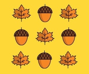 Cartoon leaves and acorns on a yellow background