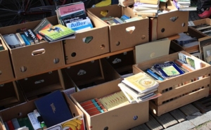 Fall Book Sale