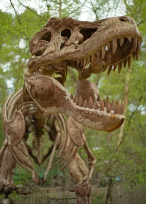 Dinovember Dinosaur Crafts